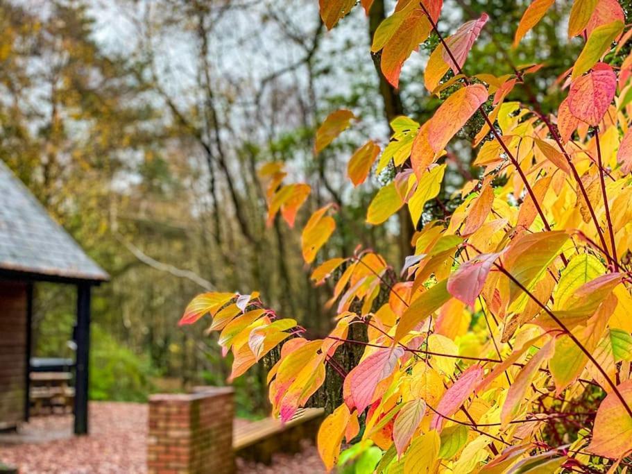 Padley; Woodland Lodge With Hot Tub For 2-4 In The Staffordshire Moorlands Oakamoor ภายนอก รูปภาพ