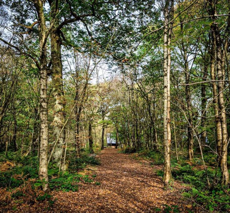 Padley; Woodland Lodge With Hot Tub For 2-4 In The Staffordshire Moorlands Oakamoor ภายนอก รูปภาพ