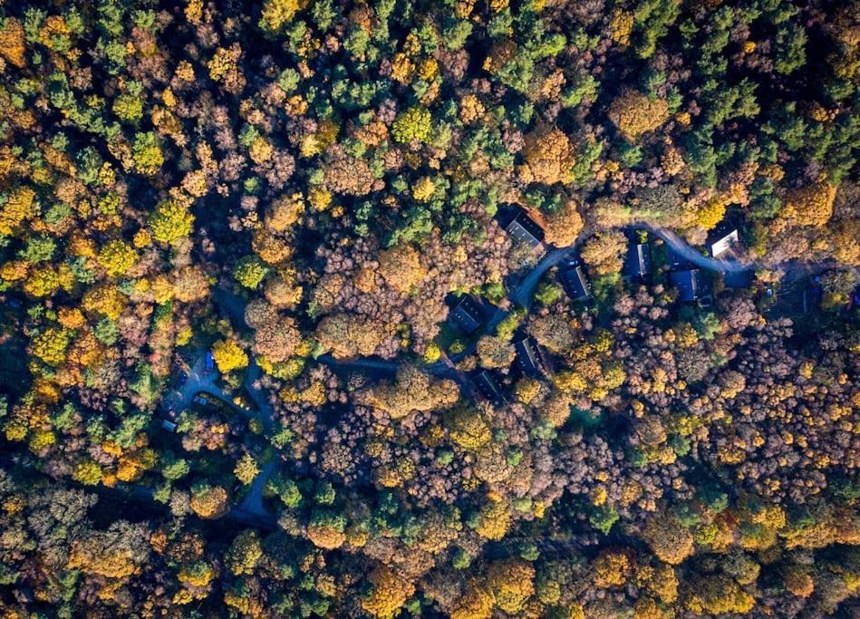 Padley; Woodland Lodge With Hot Tub For 2-4 In The Staffordshire Moorlands Oakamoor ภายนอก รูปภาพ